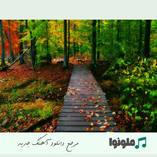 دانلود آهنگ دست تو تو دست من سرد نمیشه دیگه هیچ وقت فرهاد مدرس ریمیکس