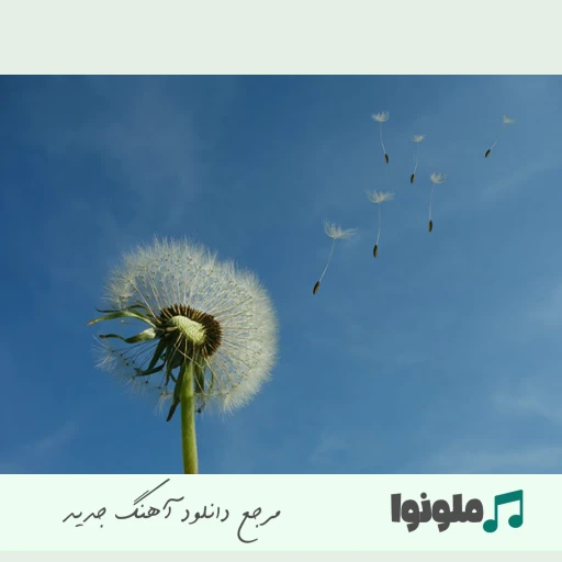 دانلود آهنگ آره هنوزم دارم گردنبندو هنوزم میخوام که برگردی با صدای زن و دختر هوش مصنوعی
