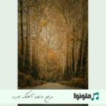 دانلود ریمیکس ۴۰۵ از محمد پتی آبادی