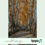 دانلود آهنگ تویس همسایه ریمیکس